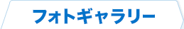 フォトギャラリー