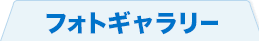フォトギャラリー